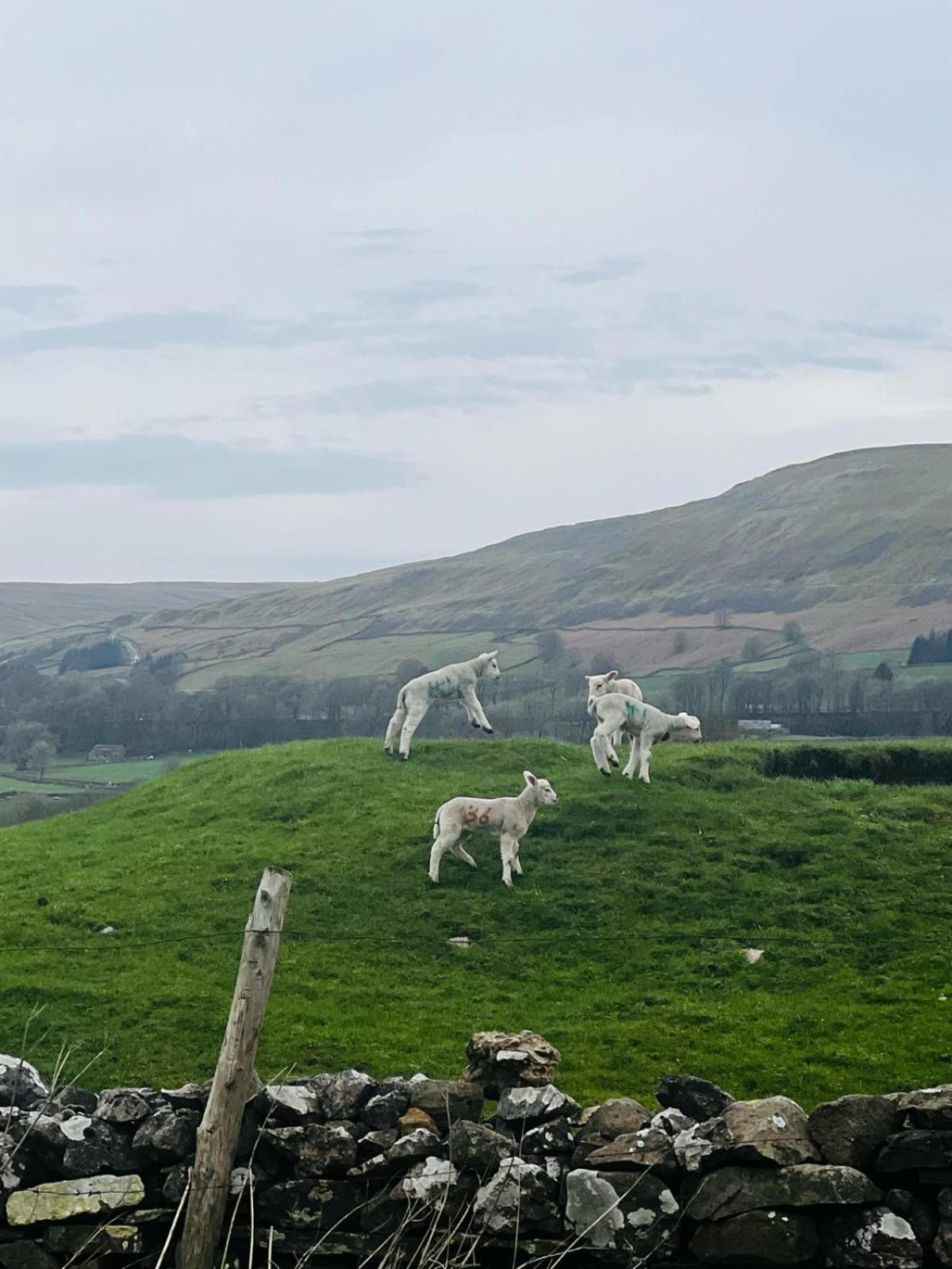 Station Holiday home Hawes